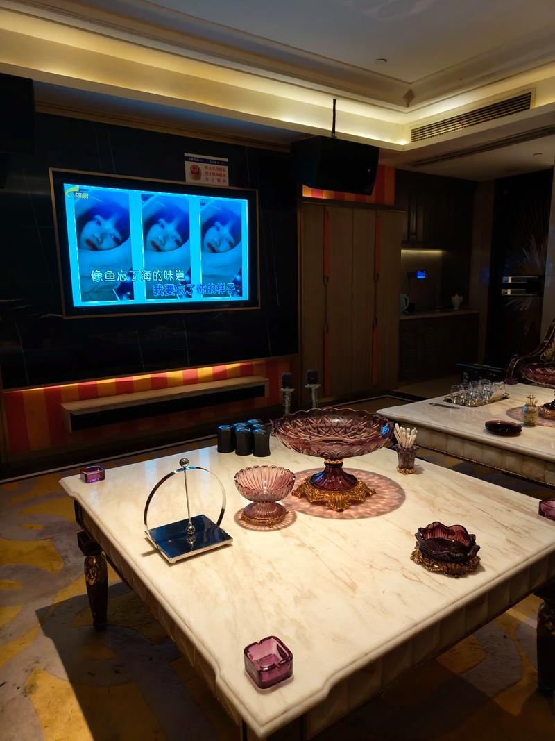 赤峰商务ktv解释-松山区ktv预定